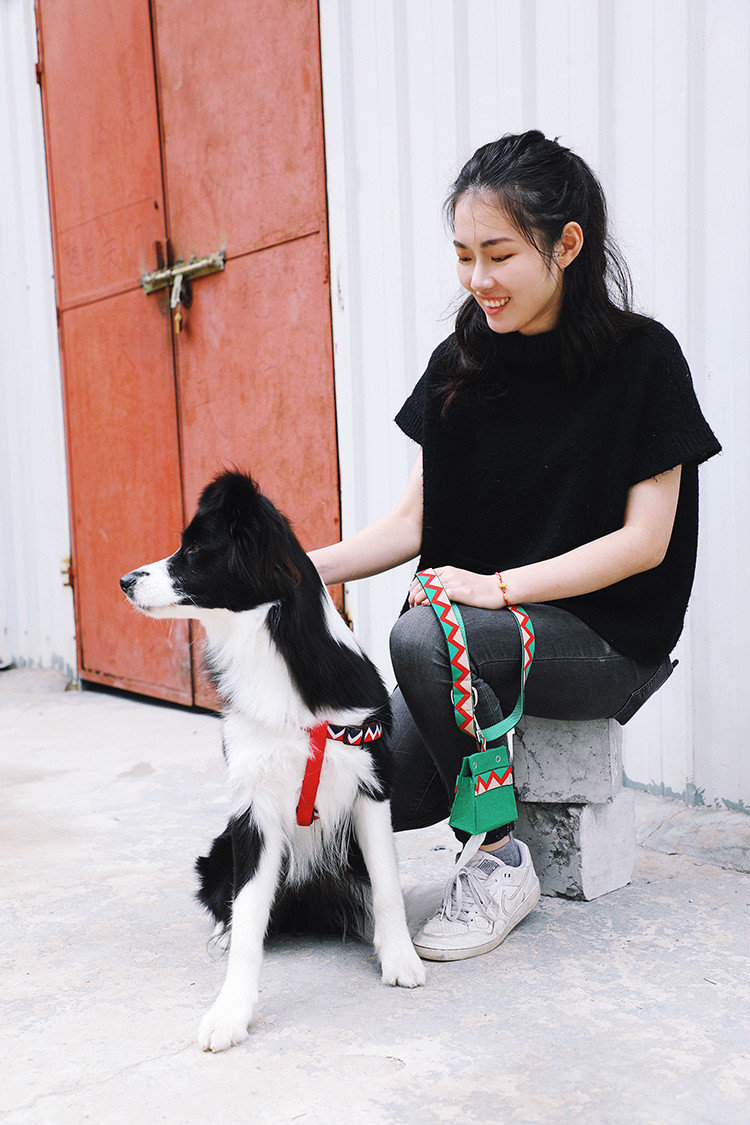 Fabric Puppy Dog Poop Bag Holder Pet Waste Bag Dispenser For Home Leash