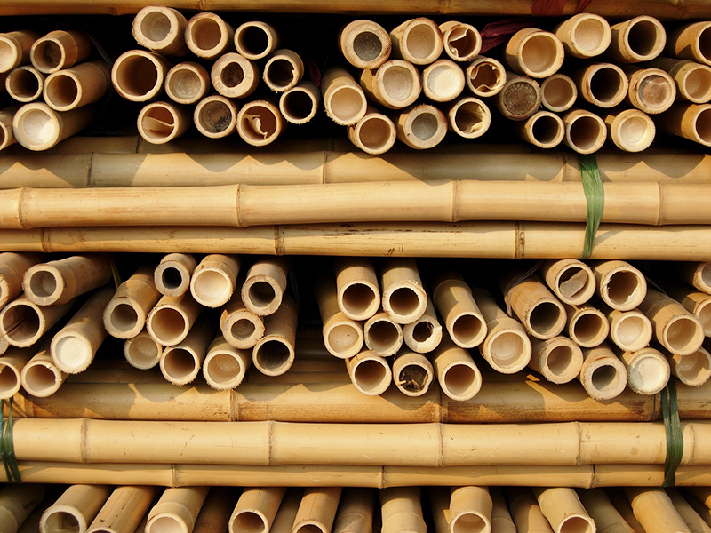 100 % Natural Strong Durable Moso Bamboo Pole Customize Length