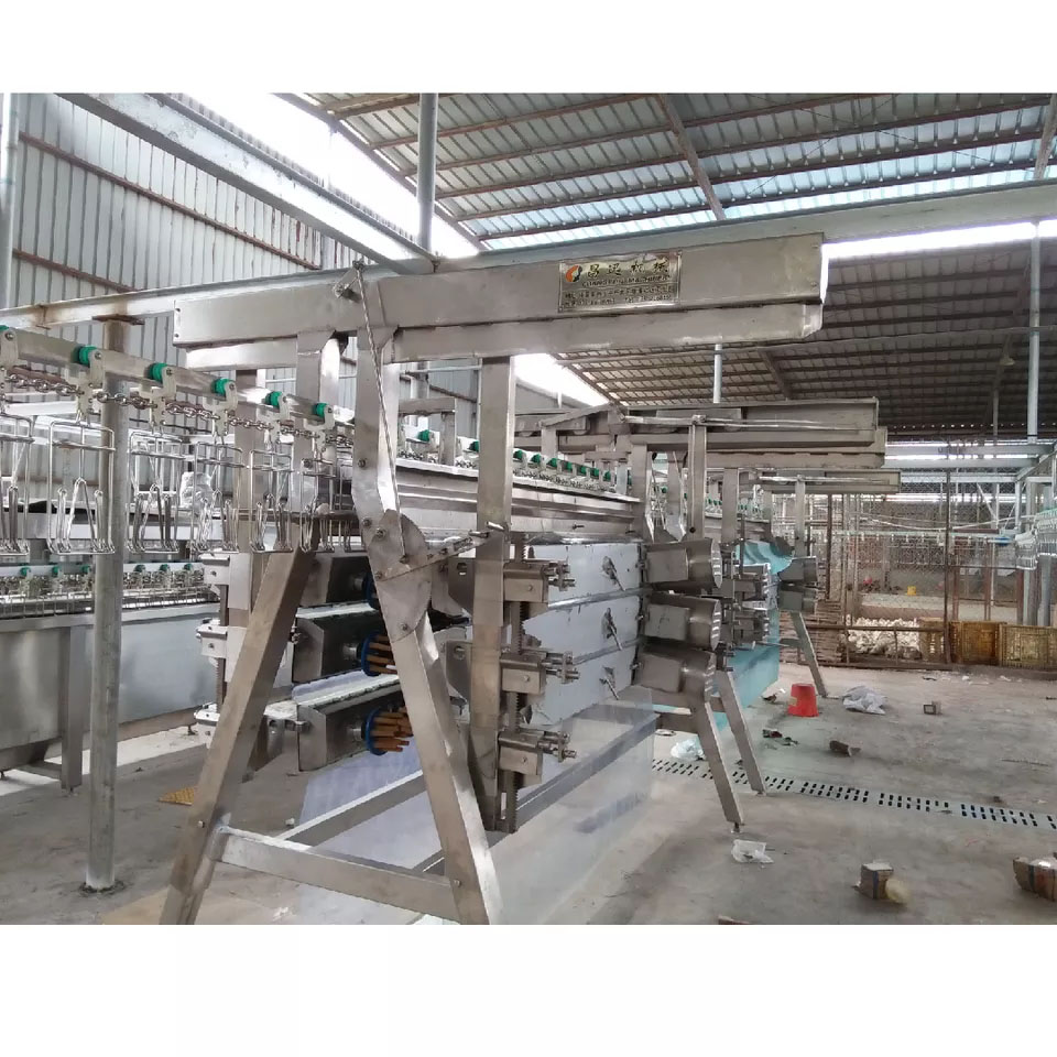 ISO9001 CE Full Automatic Poultry Slaughtering Line Automatic Chicken Slaughtering Line