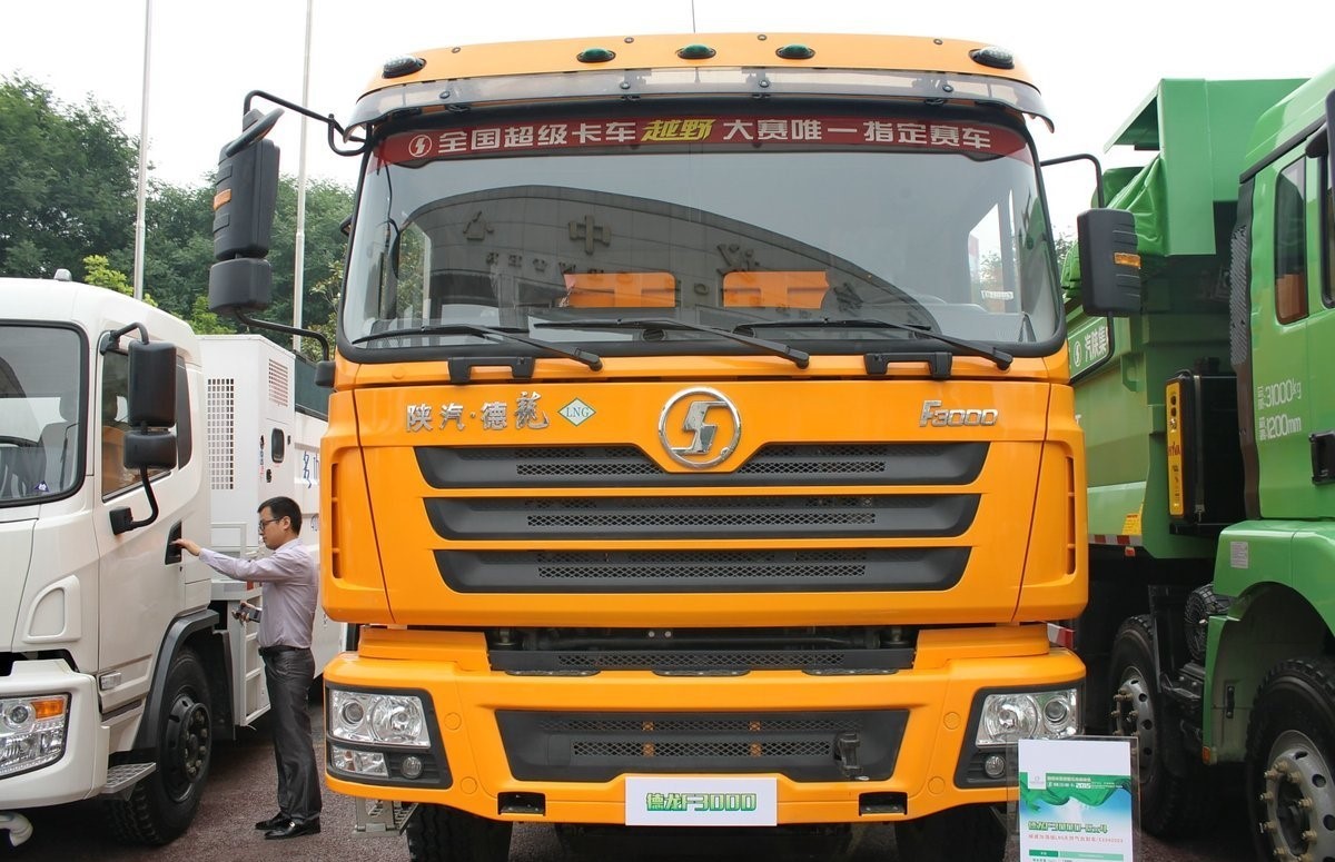 F3000 Tipper Shacman 10Wheels 6X4 China Manufacture Dump Truck Green
