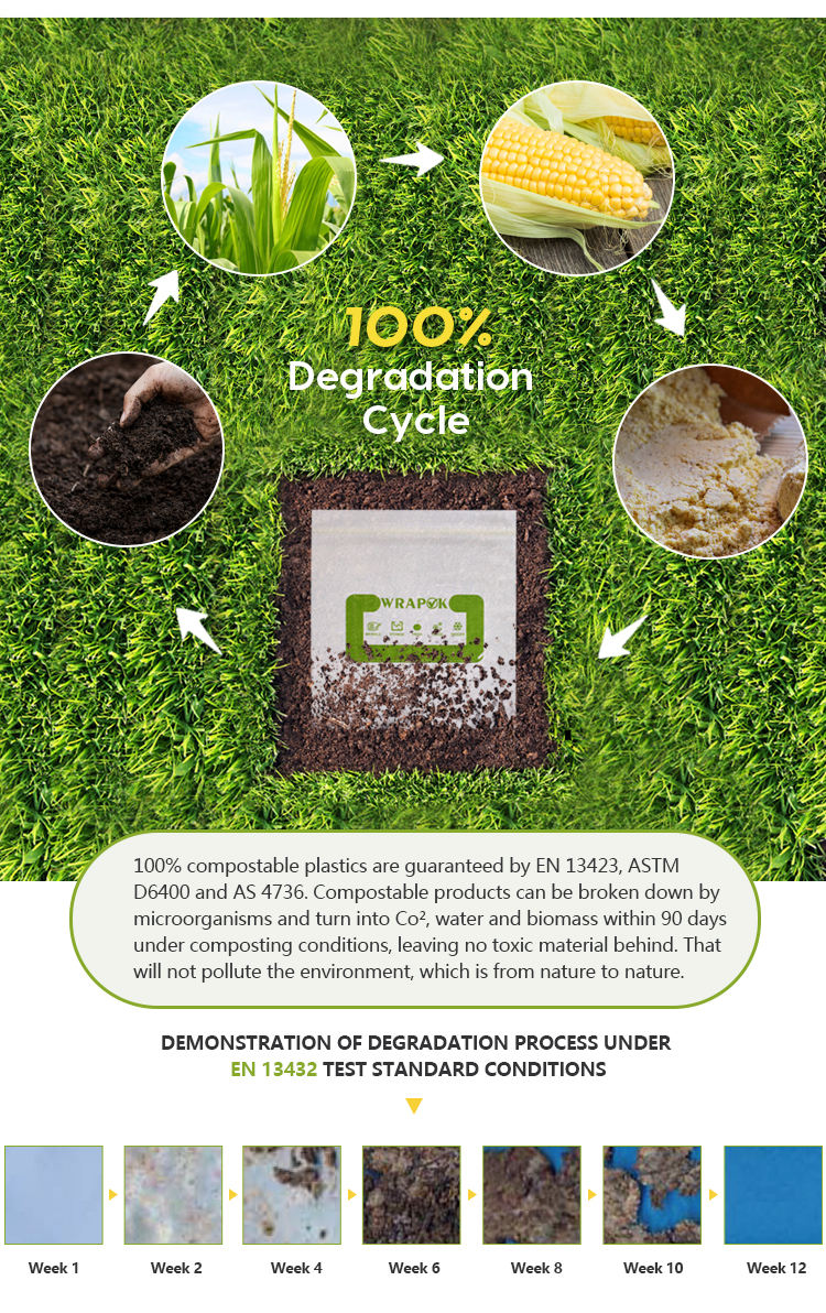Promotional self standing food grade degradable dual lastic zipper bag