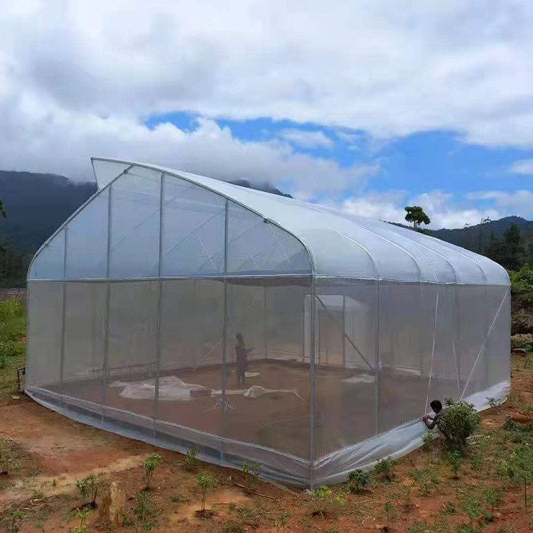 1.5 Meter Arch Rod Distance Tunnel Greenhouse Easy And Hassle-free Installation For Macro Tunnel