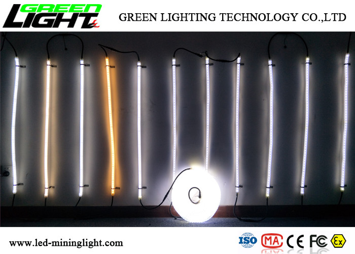 Sillicone Material 12v LED Flexible Strip Lights SMD 5050 IP68 Waterproof 50/60 HZ