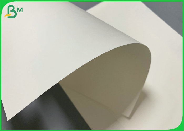  790 x 1090mm Food Safe Ivory Board 350gsm 325gsm For Offset Printing 