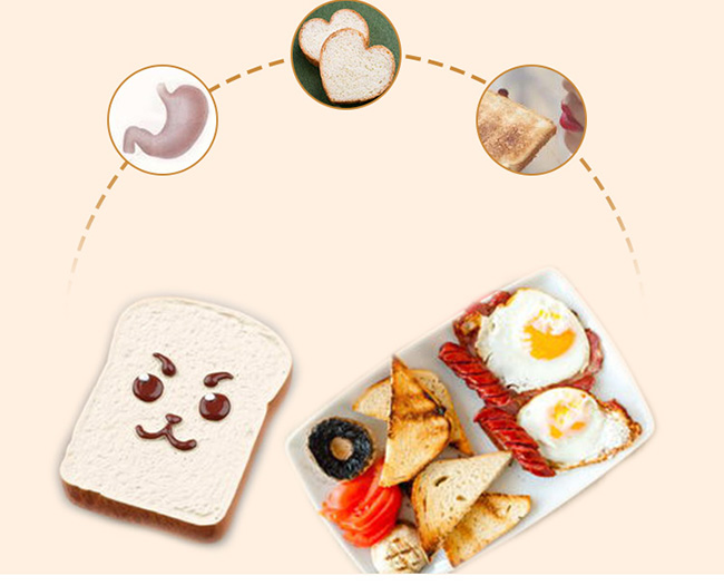 Time And Temperature Control Bakery Processing Equipment / Bread Toaster Machine