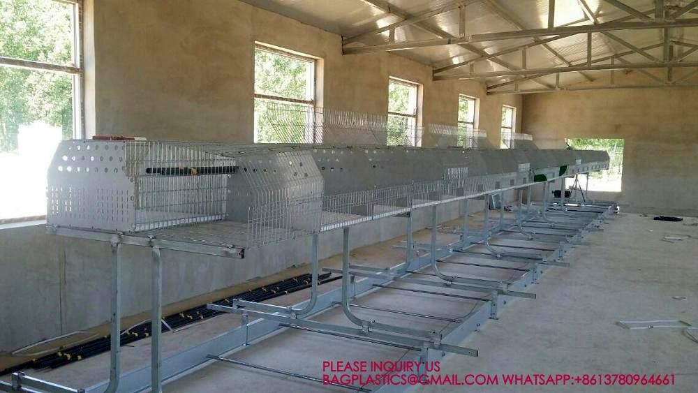 Rabbit Cage, Cage Net Galvanized Wire Poultry Farming Meat Broiler Battery Rearing Cage