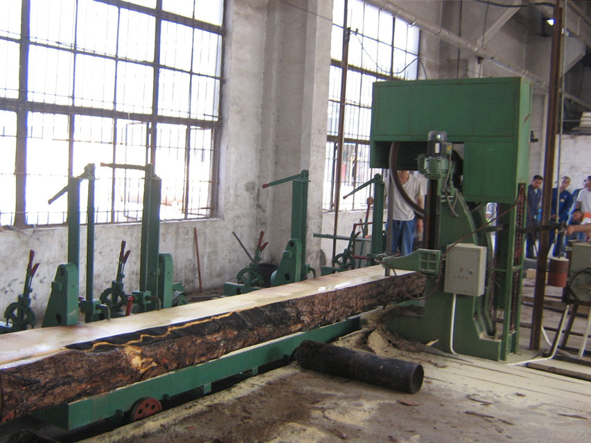 MJ3310 Vertical wood cutting band saw, log sawing sawmill machine with CNC Carriage