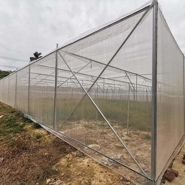 Agricultural Insect Net House Lightweight Regulating The Microclimate