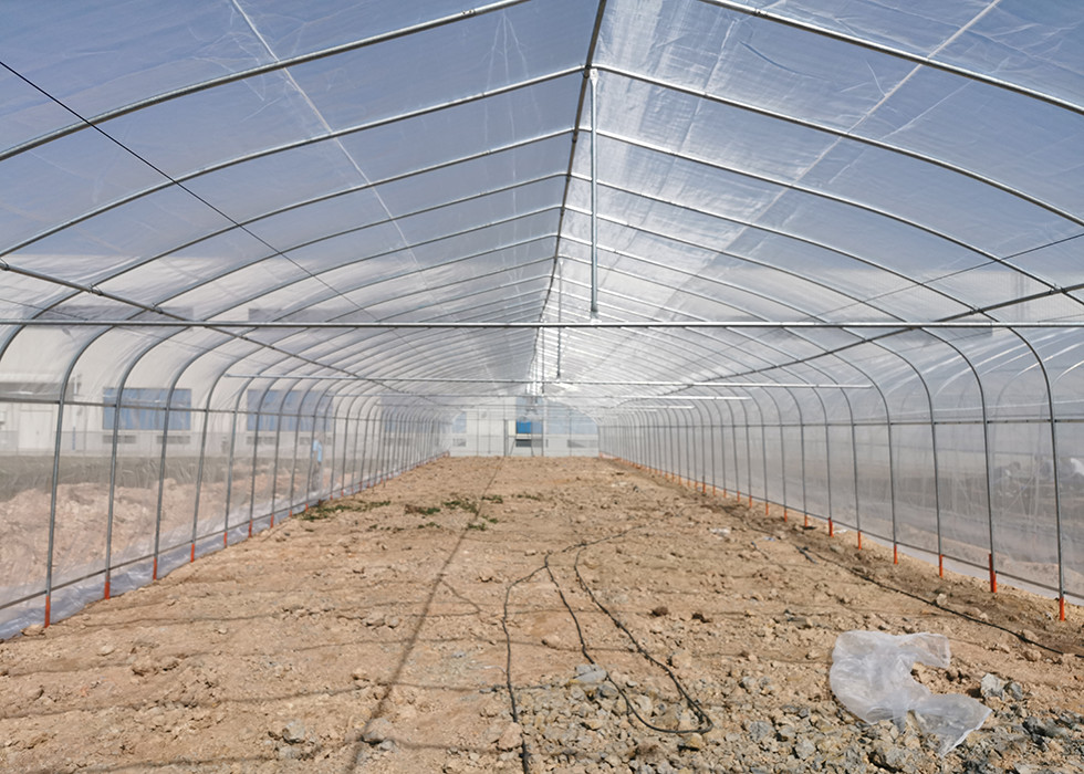 Economical Easy Installation Polycarbonate Greenhouse Kits Heavy Duty Poly Tunnel