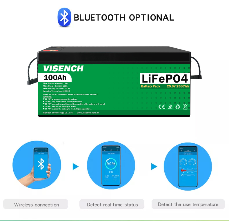 Visench Rechargeable Lithium Ion Batteries 51.2V 100Ah 24 Volt Custom LiFePO4 Battery Pack