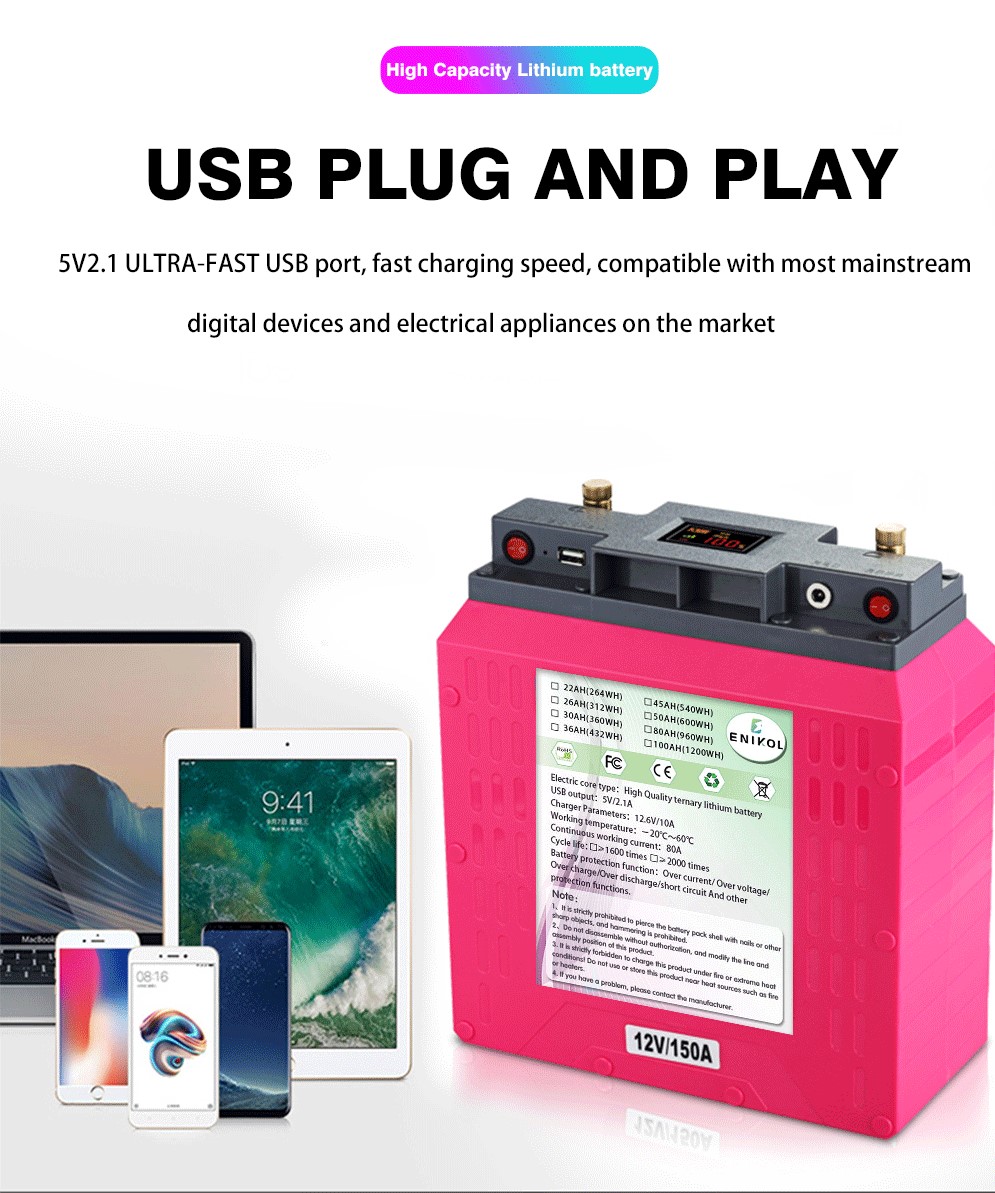 Portable 12V Lithium Battery 30ah 50ah 80ah 100ah Solar Power Battery Pack For Camping