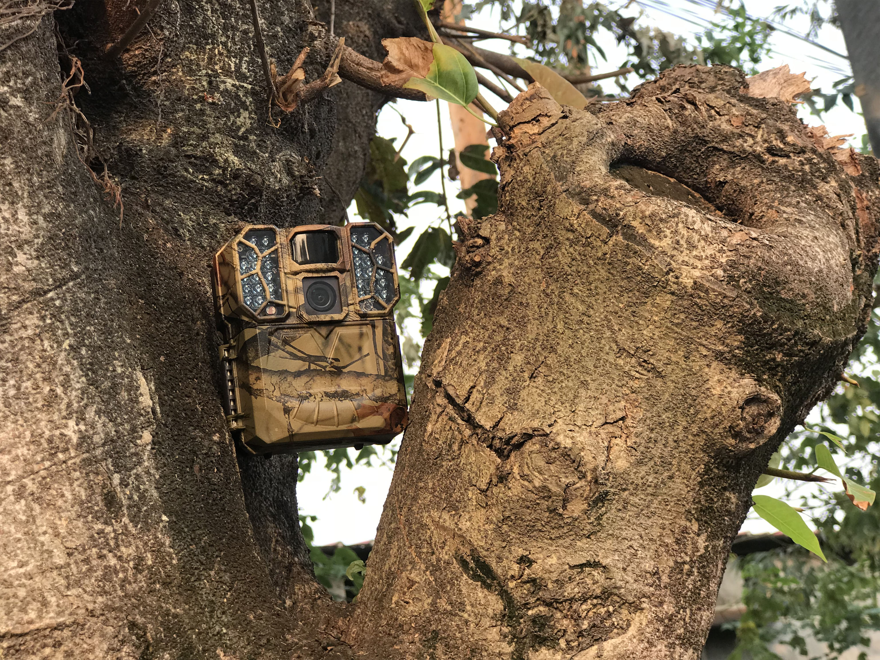 Trail Game Camera, 1080P HD 16MP Infrared Night Vision Hunting Outdoor Camera, 0.7s Trigger Speed