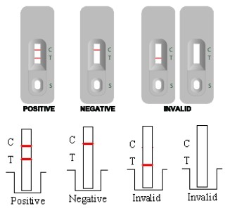 Laboratory Or Hospital Self Test High Accuracy Rapid Gold Immuno-assay Kit for Antibody IgG to Tuberculosis (TB)