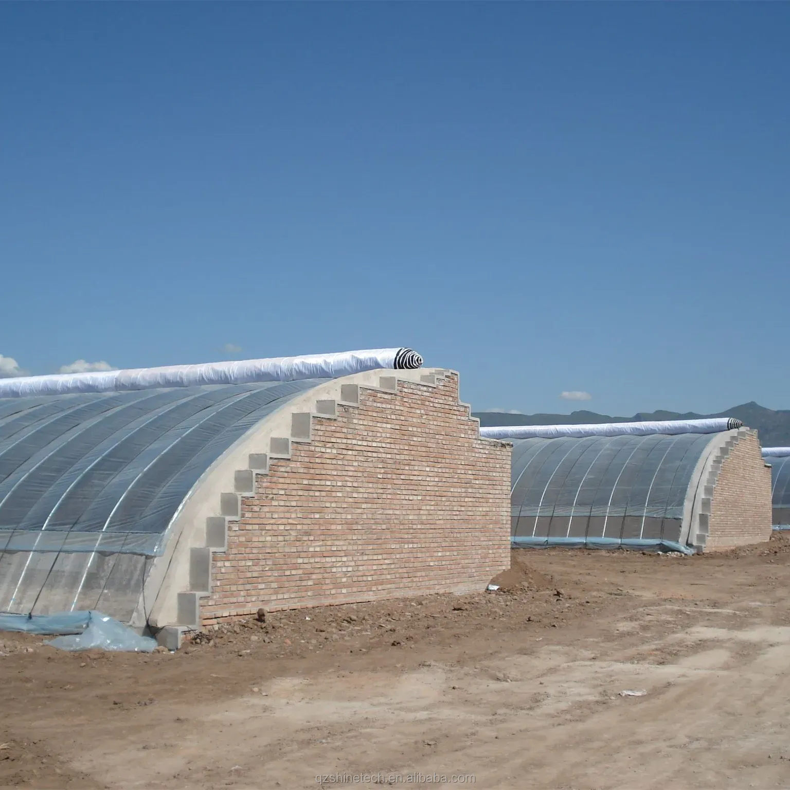Single Span Agricultural Greenhouses Durable For Winter Vegetable Production
