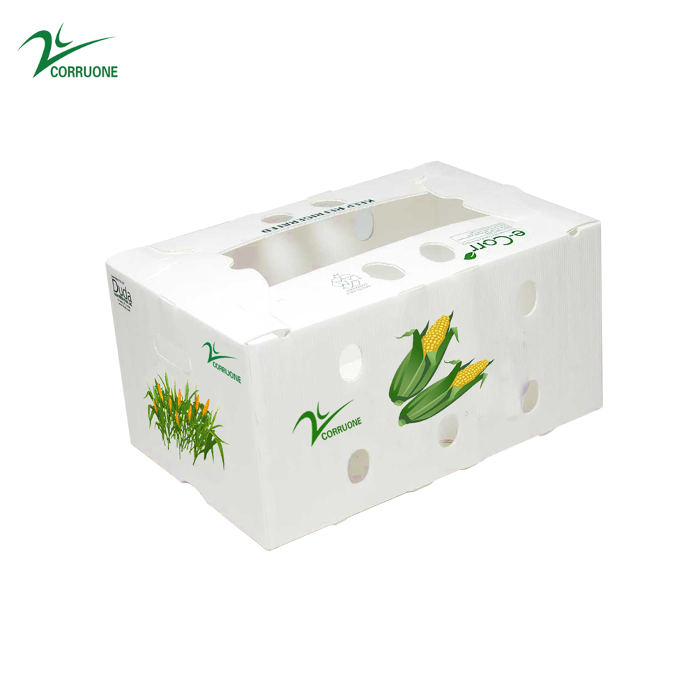 Sweet Corn Fruit Corrugated Boxes Banana Correx Packaging Boxes