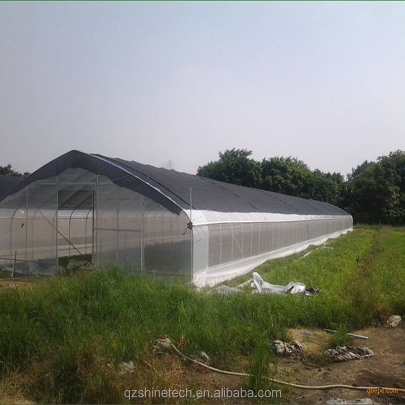 Film Cover 50x8m Single Span Type Agricultural Tunnel Greenhouse with 3.5-5M Height