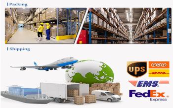 Xiamen Jingpu Electronic Technology Co., Ltd.