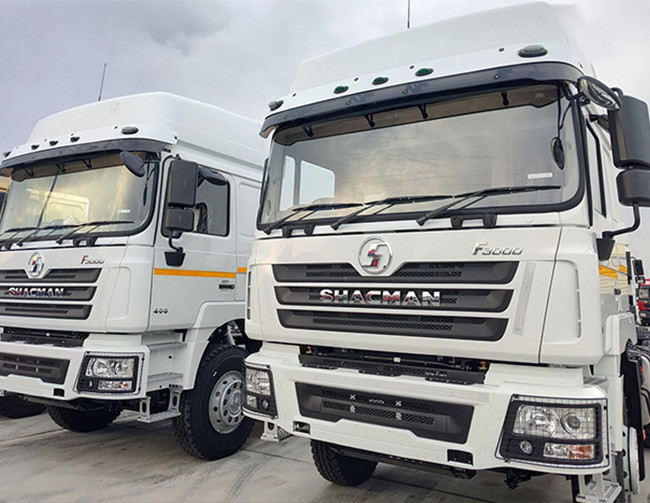 One Year Warranty Supply Shacman New Tractor Truck F3000 Transport Mostly Brick