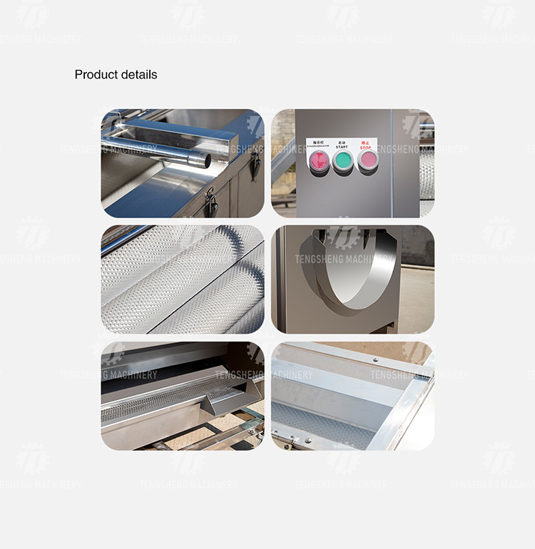1500KG/H Sweet potato cleaning and peeling machine manufacturers supply brush peeling cleaning machine
