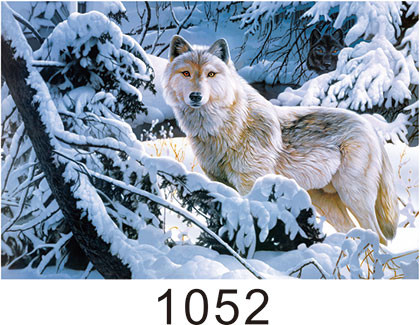 0.6mm Thickness 3D Lenticular Images , Advertising Poster 3D Wolf Picture