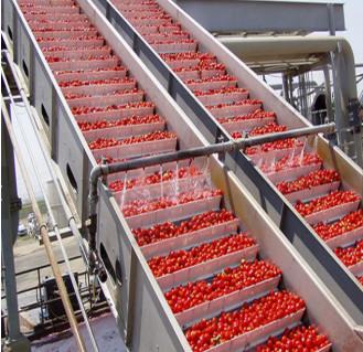 Quality Turnkey Project Tomato Paste/Sauce Production Line for sale
