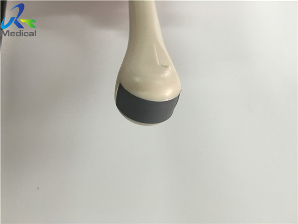 Siemens EC9 4 Medical Ultrasonic Transducer