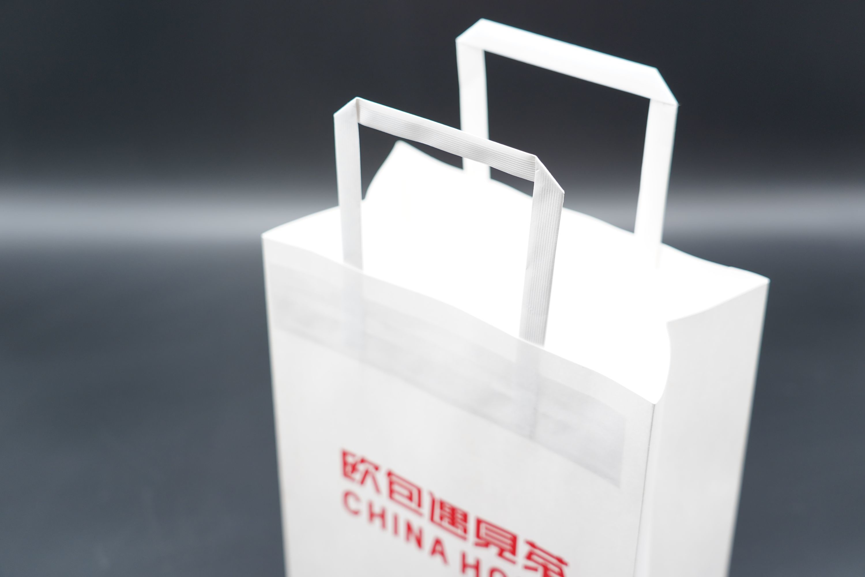 Flap Rope Handle Paper Bags Lightweight Recyclable Paper Grocery Bags