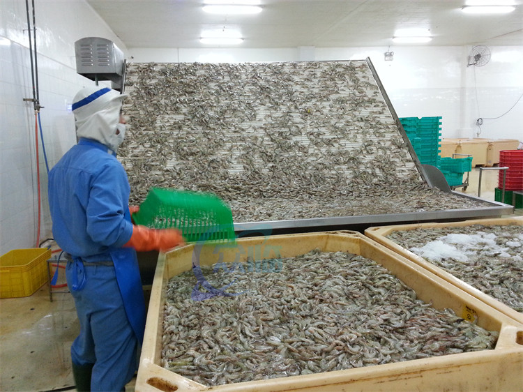 4900W Shrimp Grading Machine Roller Control Anti Erosion Automatic