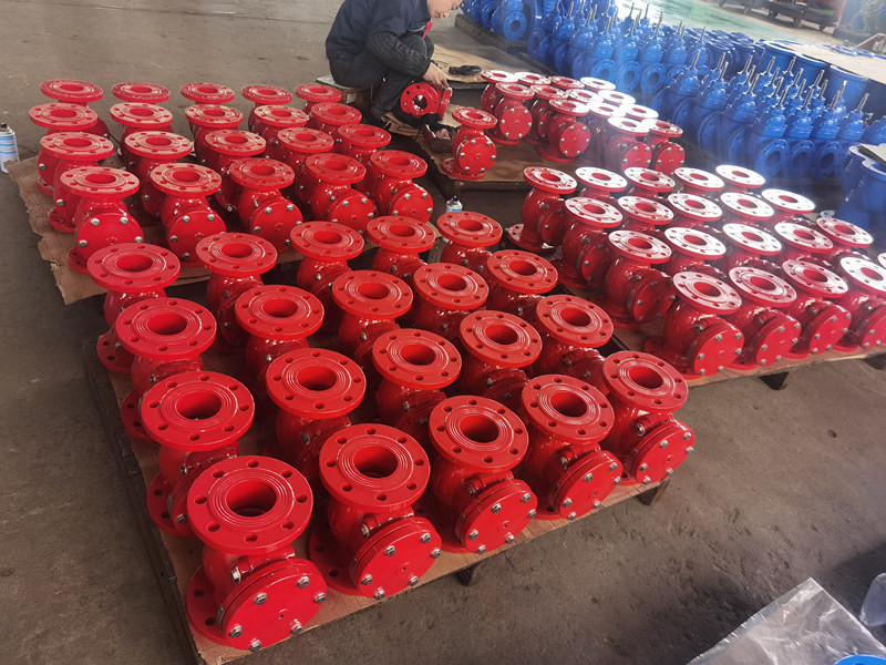 DIN3202-F6 ANSI Ductile Iron Swing Check Valve 4 Inch