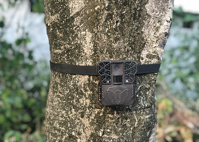 Wildlife Night Vision Hunting Camera Deer Trail With 2 Inch HD Colorful Screen