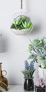 Hanging Glass Terrarium with Faux Succulents