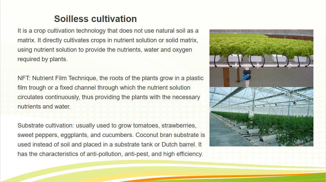 Glass Polycarbonate Cover Photovoltaic Greenhouse Include Automated Sytems