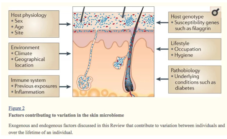 Oily Youth Serum Injection ‏Oil Control Mesotherapy Skin Treatment