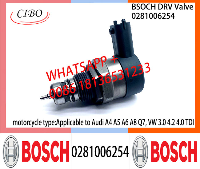 BOSCH DRV Valve 0281006254 Control Valve 0281006254 Applicable to Audi A4 A5 A6 A8 Q7, VW 3.0 4.2 4.0 TDI