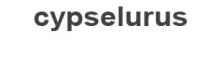 China Beijing cypselurus Technology Co., Ltd logo