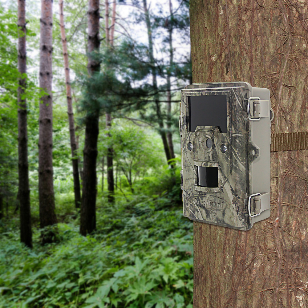 Portable Wildlife Motion Sensor Camera , 12MP Deer Hunting Video Cameras