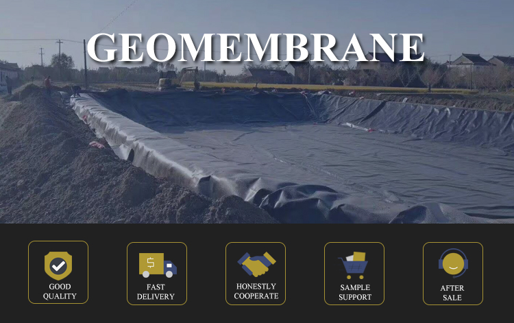 Non-Slip Rough Surface Geomembrane for Fish Shrimp Farm Pond