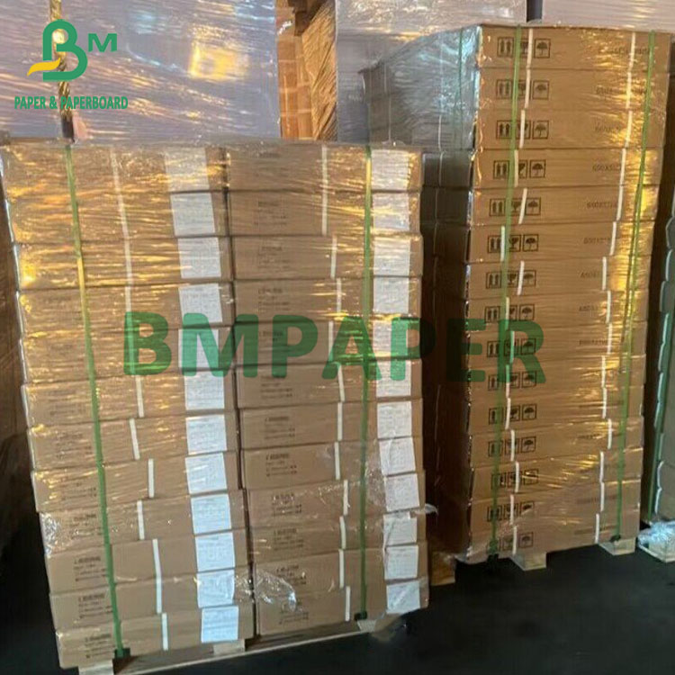 CAD Inkjet Printing Roll