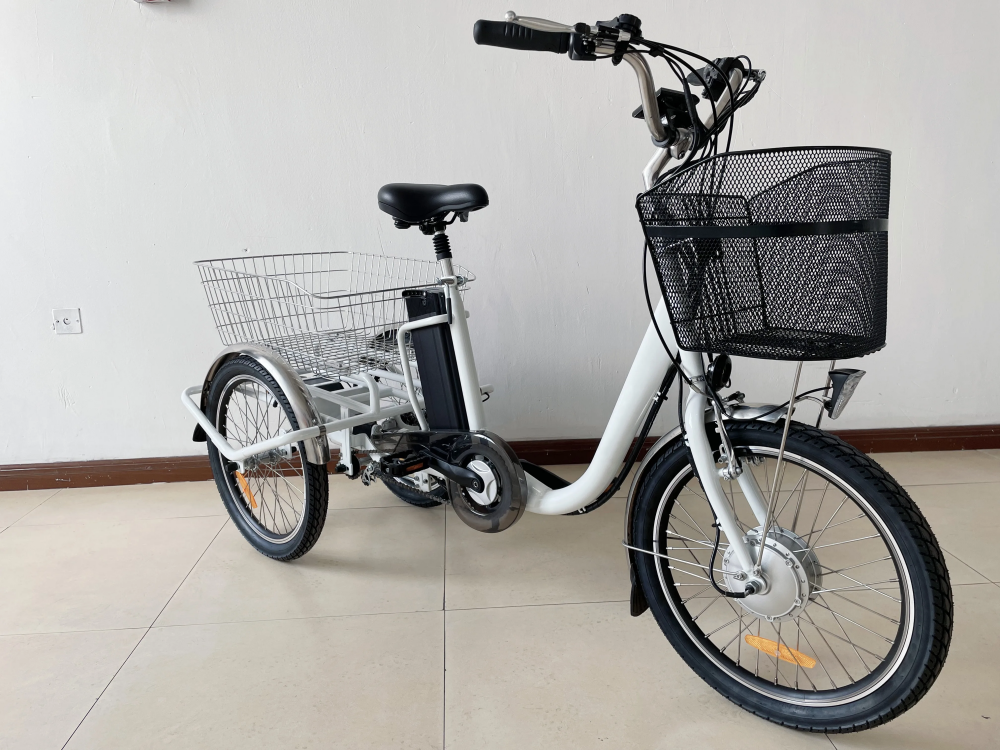 36V 250W Motor 3 Wheel Cargo Bike Tricycle Electric For Adult Derailleur 3 Speed
