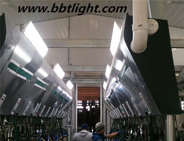 CE RoHS approved 1200mm 65w Led Linear Light with PF0.97 Isolated Driver