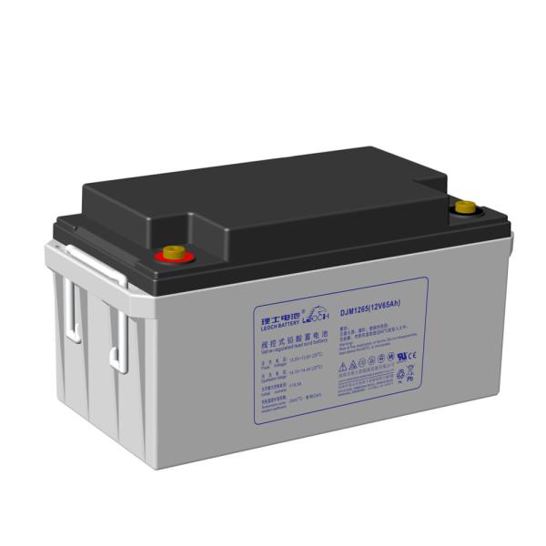 12V 65Ah 20hr Valve Regulated Lead Acid VRLA Battery Leoch DJM1265 For UPS