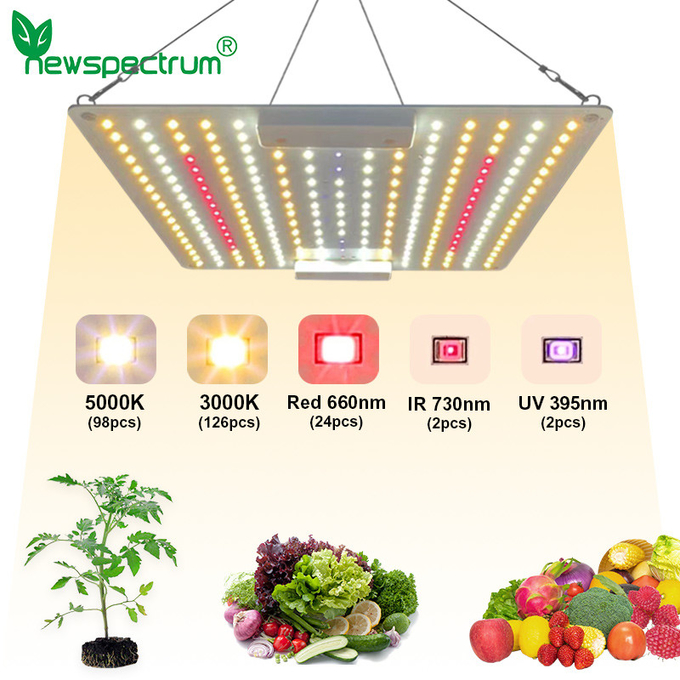 LED Indoor Grow Lights 650W 5000K Energy Saving For Plants Flowers