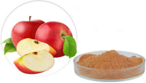 Prevent Vitamin Loss Apple Extract Apple Polyphenols Powder