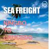 Buy cheap 27 Days Sea Freight Shipping Agency From Ningbo To Caucedo Dominican Republic from wholesalers