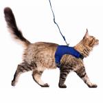 Pet Supply Cat Vest Harness And Leash Combo Escape Proof With Added Safety