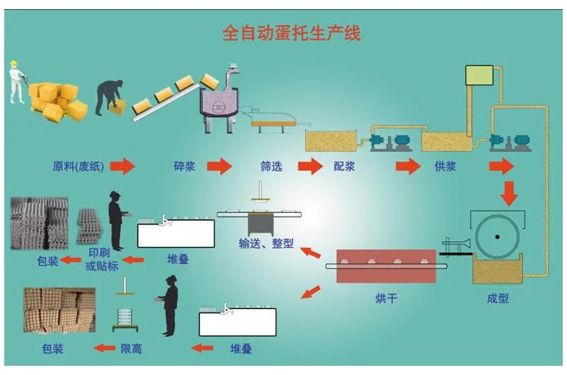 Paper Egg Tray Produtcion Line, Egg Carton Making Machine