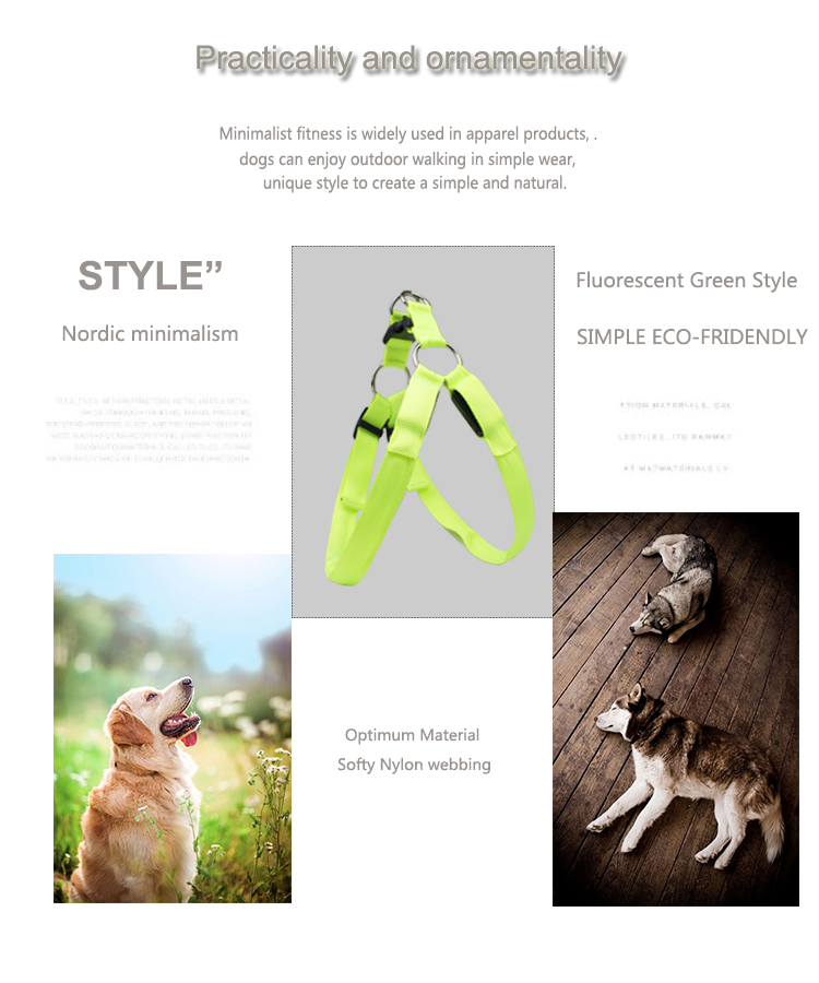 Training Led Dog Harness Glowing Security Pet Safety Fluorescent Soft USB Rechargeable