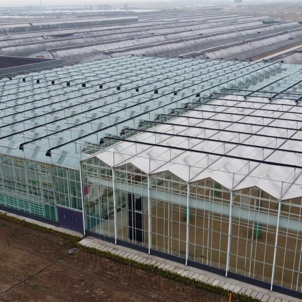 Drip Irrigation Glass Greenhouse Hydroponic Setup