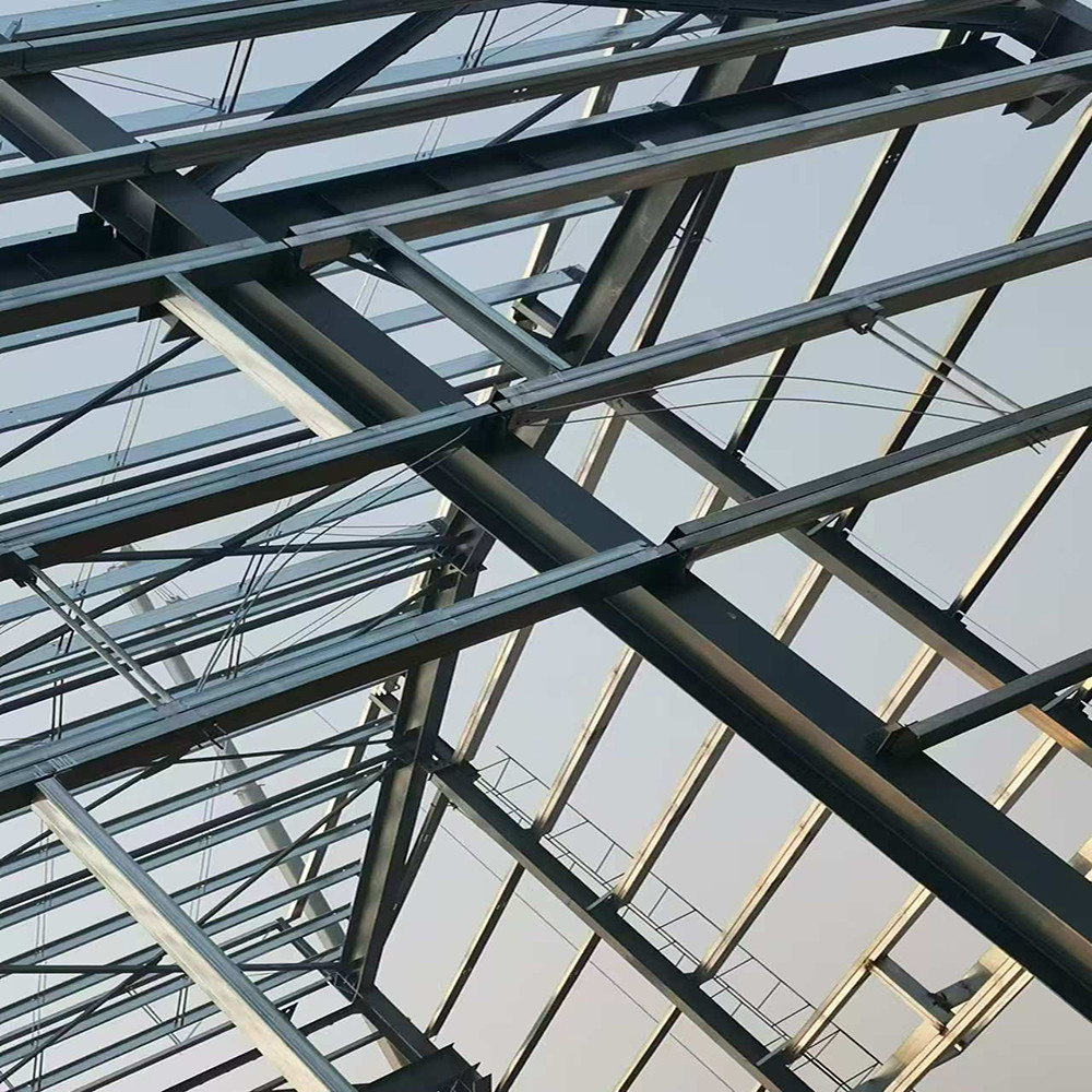 Galvanized Steel Structure Building Customized for Your Building Requirements