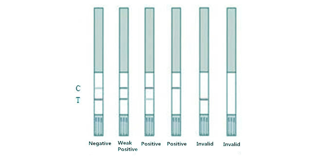 Neomycin Rapid Test Strip For Milk 96 Tests/Kit Detection Limit 5 To 10 Ppb